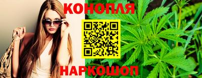 индика Долгопрудный