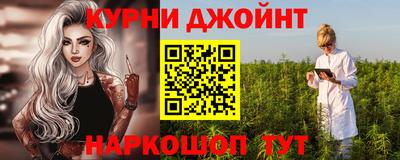 индика Долгопрудный