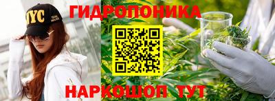 индика Долгопрудный