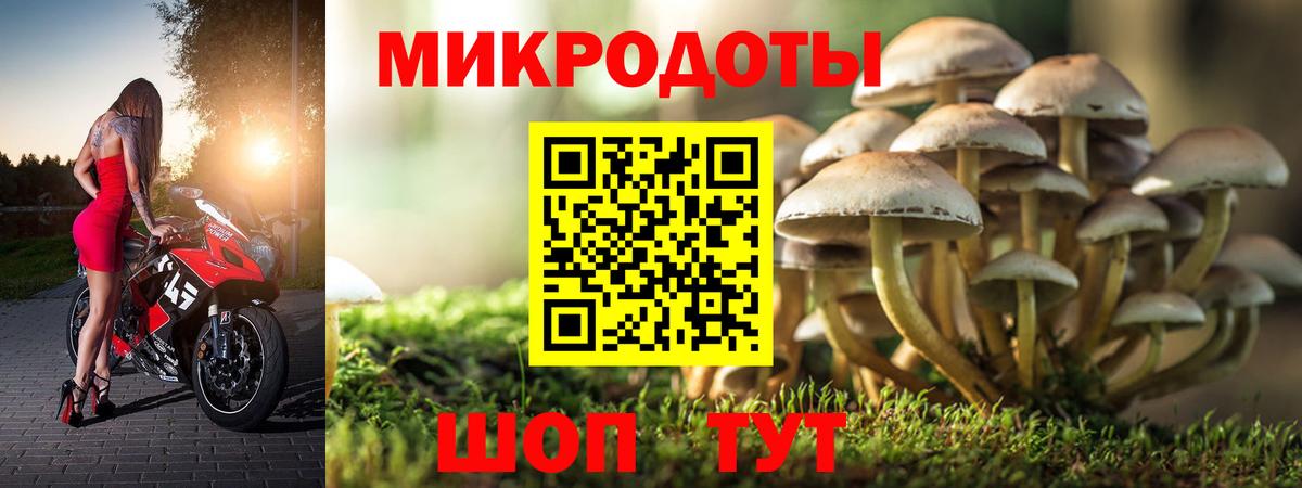 Альметьевск  Галлюциногенные грибы ЛСД  Псилоцибиновые грибы прущие грибы  Вход с VPN 